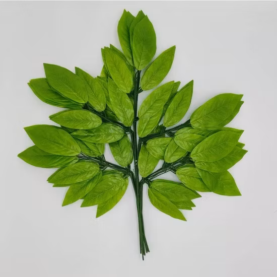 Thé de beauté biologique frais et parfumé, fleur aromatisée au jasmin, thé vert, feuilles de thé biologiques, thé amincissant, vente en gros